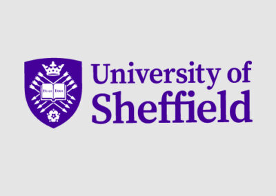 UNIVERSITY OF SHEFFIELD